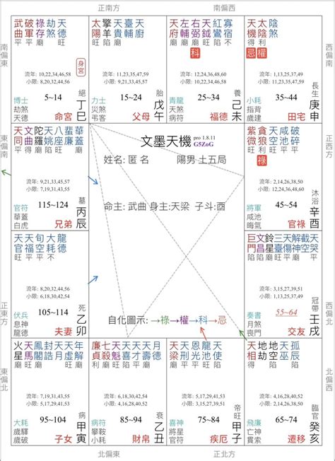 武曲破軍坐命|紫微命盤解析——武曲、破軍于巳亥宮守命宮